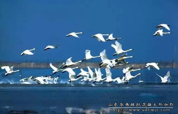 中國最美高鐵-滬昆鐵路全線開通！